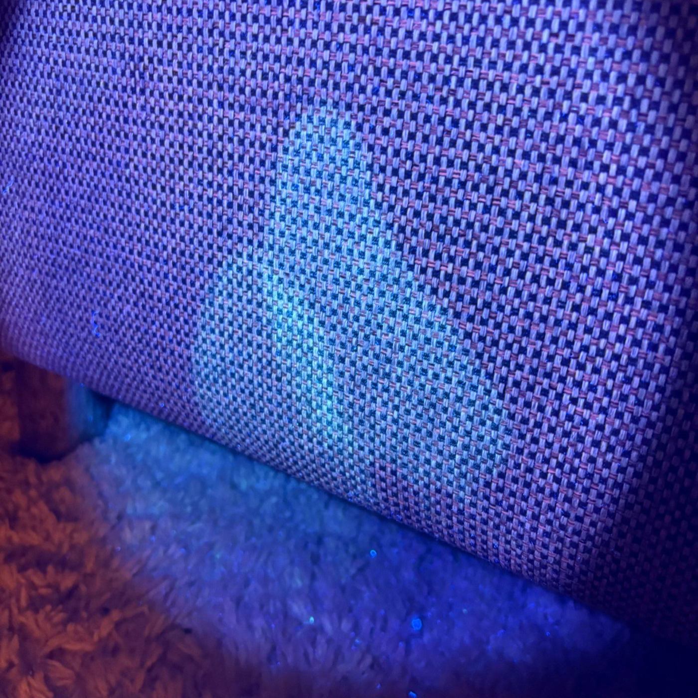 Kattenurine in de stof van een bank opgespoord met UV-licht