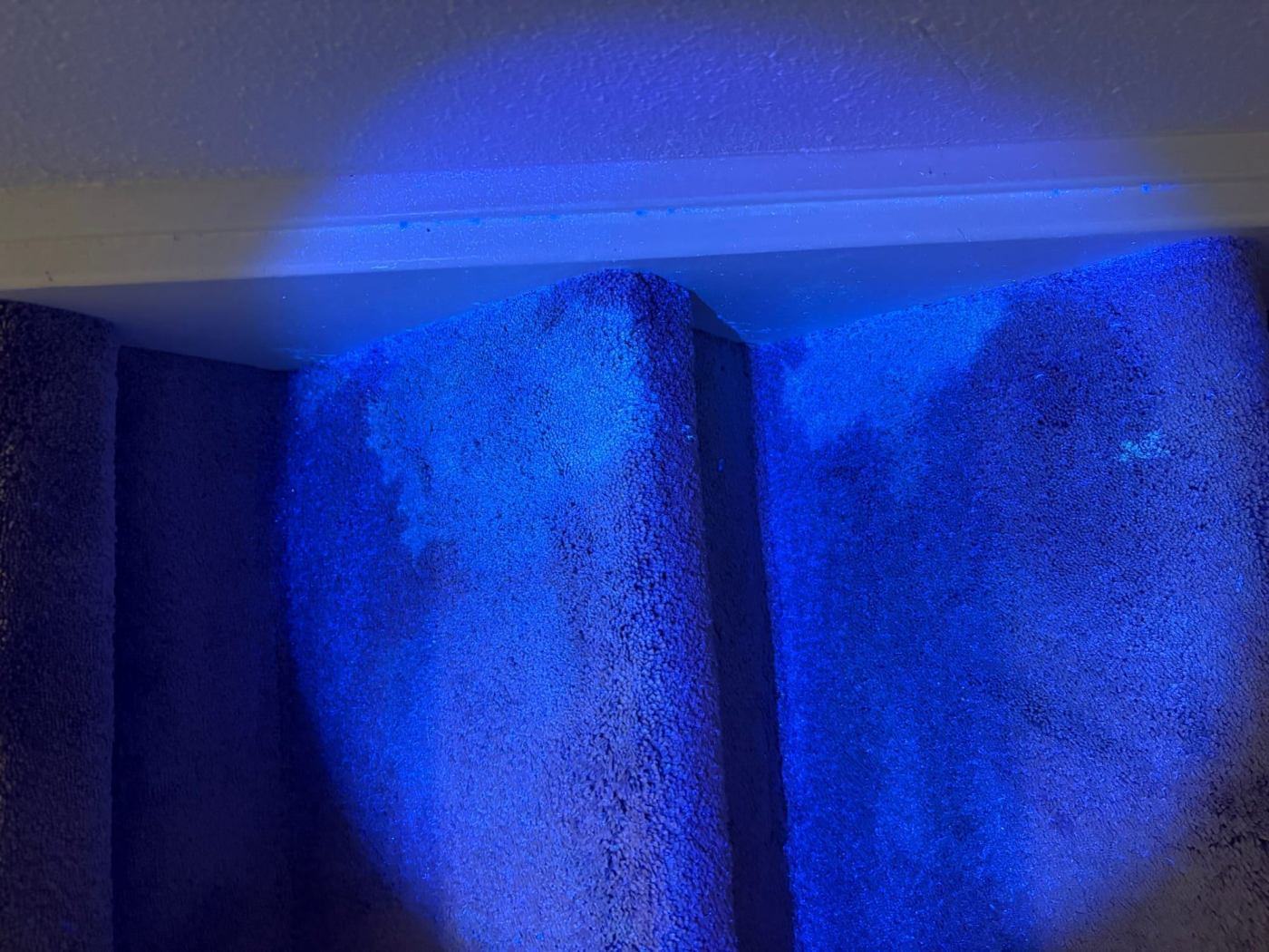 Urineplekken op een bank onder een UV-lamp